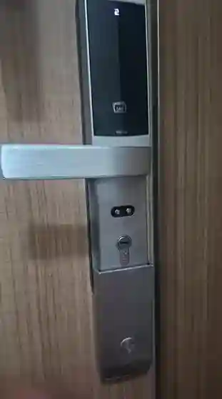 Profesyonel Elektronik Kapı Açma Hizmeti